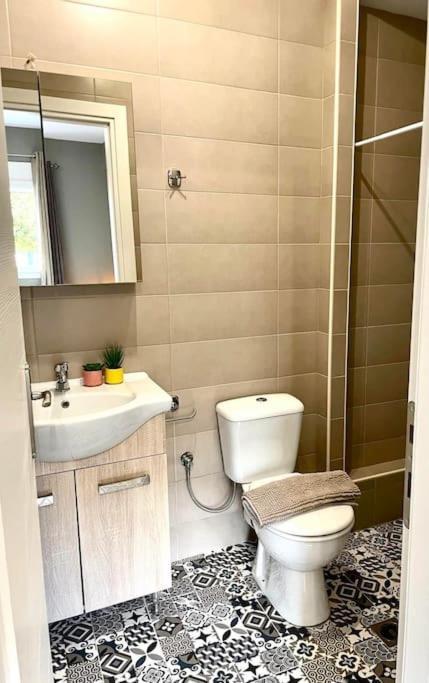 Chrysal Cozy Apartment Ioannina Exterior foto